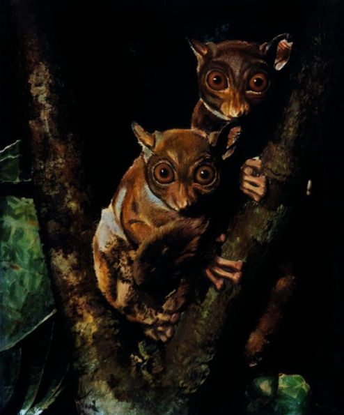 Beauty in the Beast: Flora, Fauna, and Endangered Species of Artist Ralph Burke Tyree