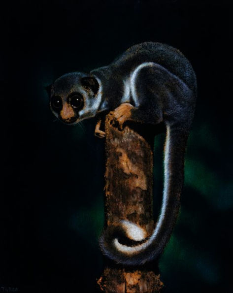 Beauty in the Beast: Flora, Fauna, and Endangered Species of Artist Ralph Burke Tyree