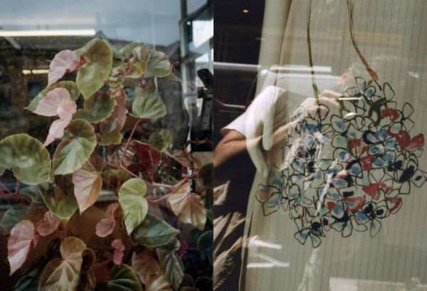 Mary Manning: Grace Is Like New Music