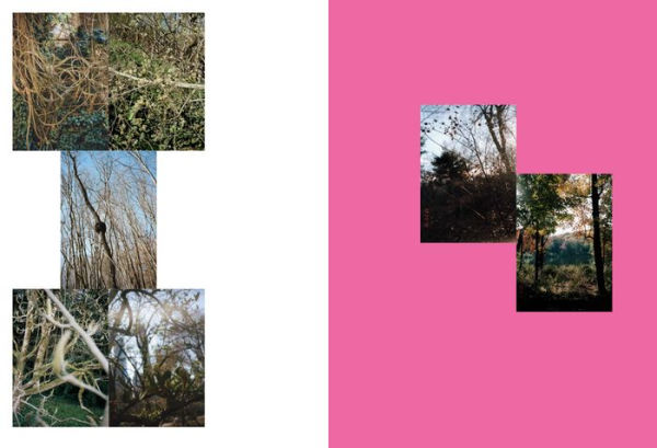 Mary Manning: Grace Is Like New Music