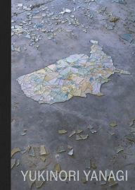 Title: Yukinori Yanagi, Author: Reiko Tomii