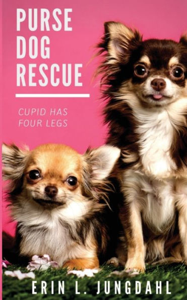 Purse Dog Rescue