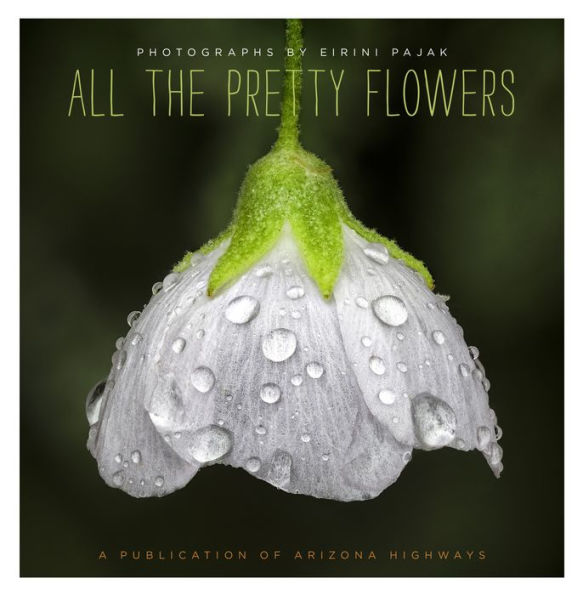 All The Pretty Flowers