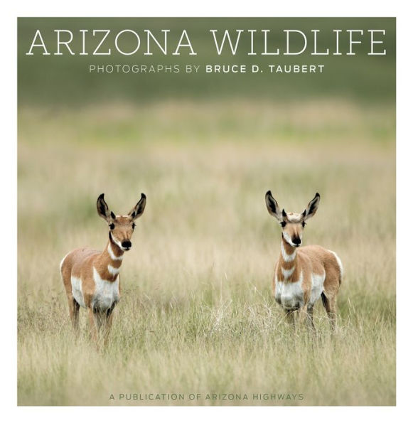 Arizona Wildlife: Photographs by Bruce D. Taubert