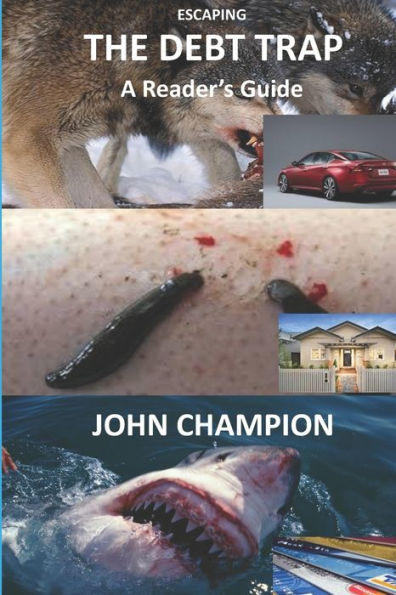 The Debt Trap: A Reader's Guide