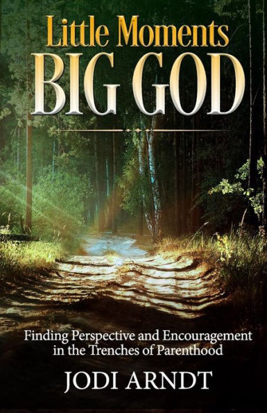 Little Moments Big God: Finding Perspective and Encouragement in the Trenches of Parenthood