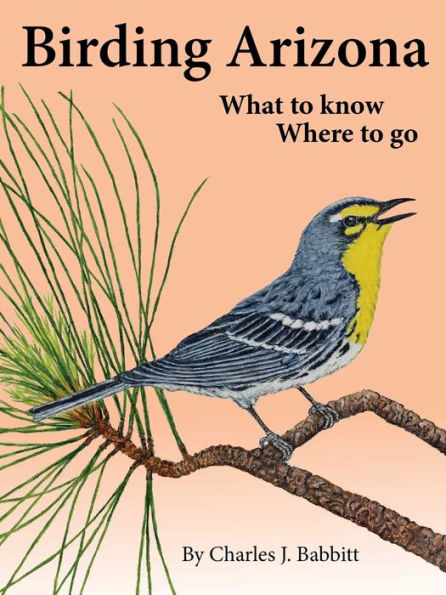 Birding Arizona - What to Know, Where to Go