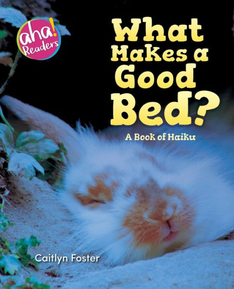What Makes A Good Bed?: book of Haiku