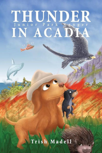 Thunder in Acadia: Junior Park Ranger