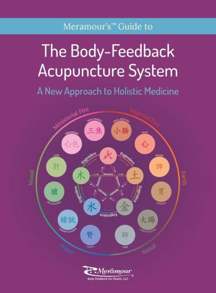 The Body-Feedback Acupuncture System: A New Approach to Holistic Medicine
