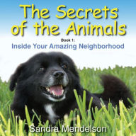 Title: The Secrets of the Animals: Inside Your Amazing Neighborhood, Author: Sandra Mendelson