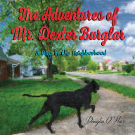 Title: The Adventures of Mr. Dexter Burglar: A Day in the Neighborhood, Author: Dimitri Motofunk