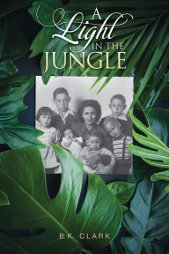 Title: A Light in the Jungle: A True Story of Modern-Day Pioneers, Author: B. K. Clark