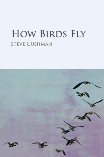 How Birds Fly
