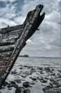 The Anchor Holds: Poems from the Shipwreck