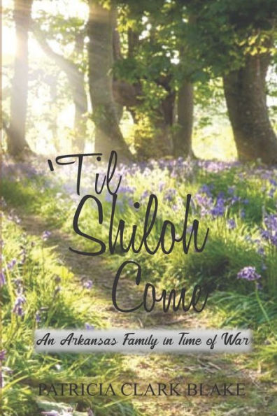 'Til Shiloh Come: An Arkansas Family in Time of War