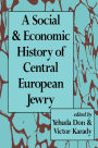 A Social and Economic History of Central European Jewry