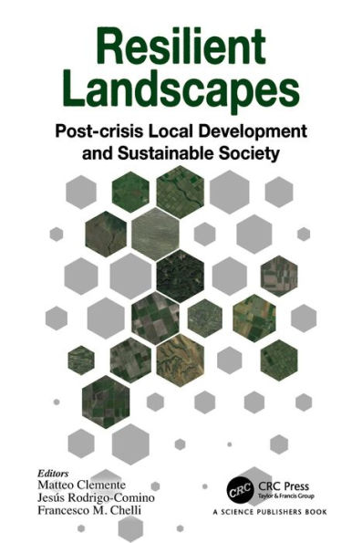 Resilient Landscapes: Post-crisis Local Development and Sustainable Society