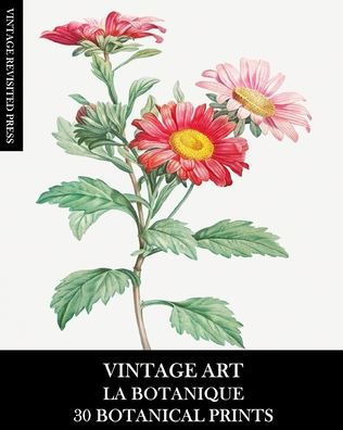 Vintage Art: La Botanique: 30 Botanical Prints for Framing, Collage, Decoupage and Junk Journals