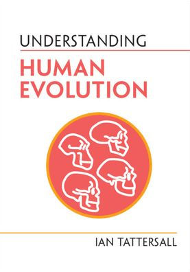 Understanding Human Evolution