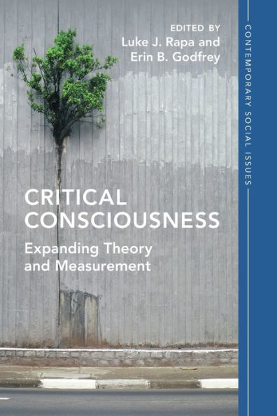 Critical Consciousness: Expanding Theory and Measurement