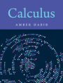 Calculus