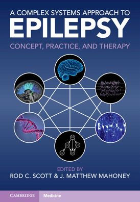 A Complex Systems Approach to Epilepsy: Concept, Practice, and Therapy