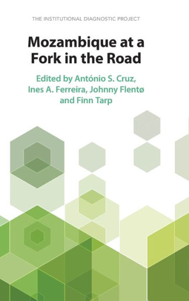 Mozambique at a Fork The Road: Institutional Diagnostic Project