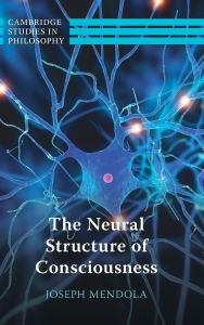 Book in spanish free download The Neural Structure of Consciousness by Joseph Mendola