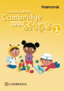 Cambridge Little Steps Level 1 Flashcards