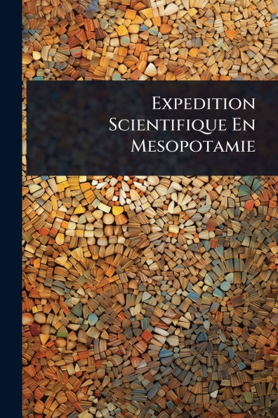 Expedition Scientifique En Mesopotamie