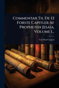 Title: Commentar Til De 12 Forste Capitler Af Propheten Jesaia, Volume 1..., Author: Carl Paul Caspari