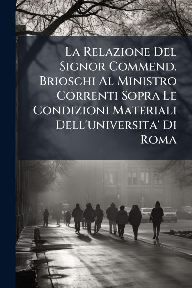 La Relazione Del Signor Commend. Brioschi Al Ministro Correnti Sopra Le Condizioni Materiali Dell'universita' Di Roma