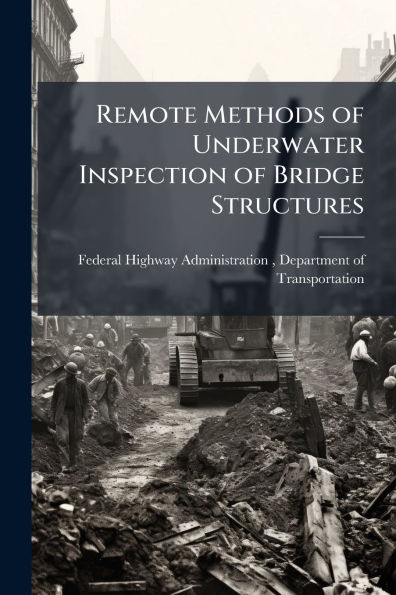 Remote Methods of Underwater Inspection Bridge Structures