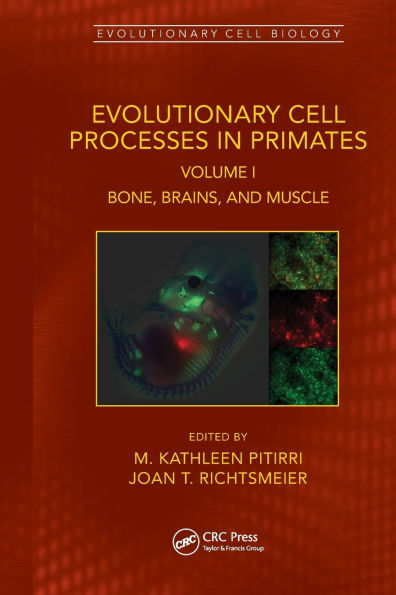 Evolutionary Cell Processes in Primates: Bone, Brains, and Muscle, Volume I