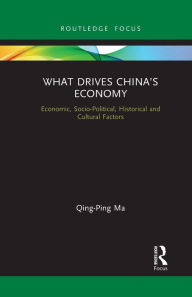 Title: What Drives China's Economy: Economic, Socio-Political, Historical and Cultural Factors, Author: Qing-Ping Ma