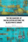 The Mechanisms of Racialization Beyond the Black/White Binary
