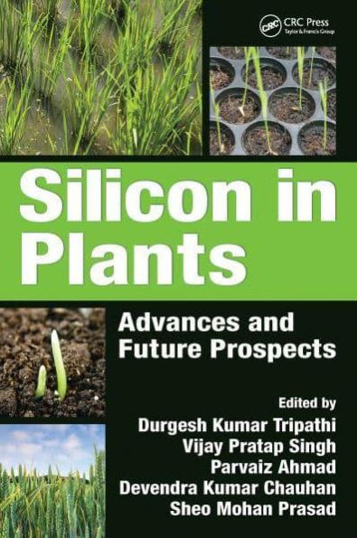 Silicon Plants: Advances and Future Prospects
