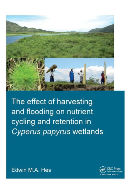 The effect of harvesting and flooding on nutrient cycling retention Cyperus papyrus wetlands