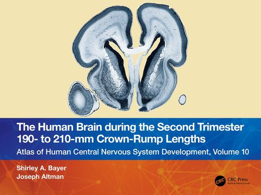 the Human Brain during Second Trimester 190- to 210-mm Crown-Rump Lengths: Atlas of Central Nervous System Development, Volume 10