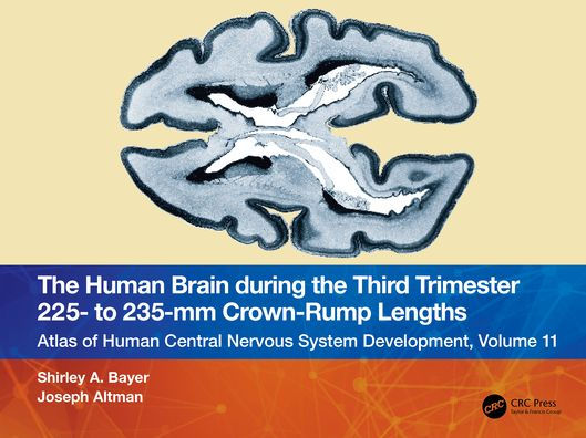 the Human Brain during Third Trimester 225- to 235-mm Crown-Rump Lengths: Atlas of Central Nervous System Development, Volume 11