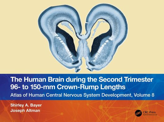 the Human Brain during Second Trimester - to -mm Crown-Rump Lengths: Atlas of Central Nervous System Development