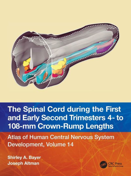 the Spinal Cord during First and Early Second Trimesters 4- to 108-mm Crown-Rump Lengths: Atlas of Human Central Nervous System Development, Volume 14