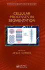 Cellular Processes in Segmentation