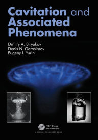 Title: Cavitation and Associated Phenomena, Author: Dmitry Biryukov