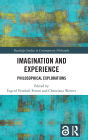 Imagination and Experience: Philosophical Explorations