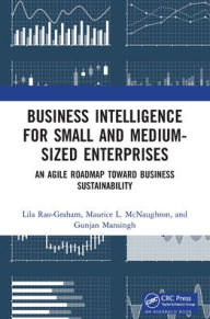 Title: Business Intelligence for Small and Medium-Sized Enterprises: An Agile Roadmap toward Business Sustainability, Author: Lila Rao-Graham