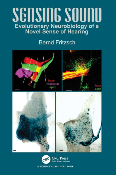 Sensing Sound: Evolutionary Neurobiology of a Novel Sense of Hearing