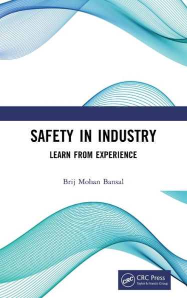 Safety in Industry: Learn from Experience