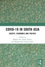 COVID-19 in South Asia: Society, Economics and Politics